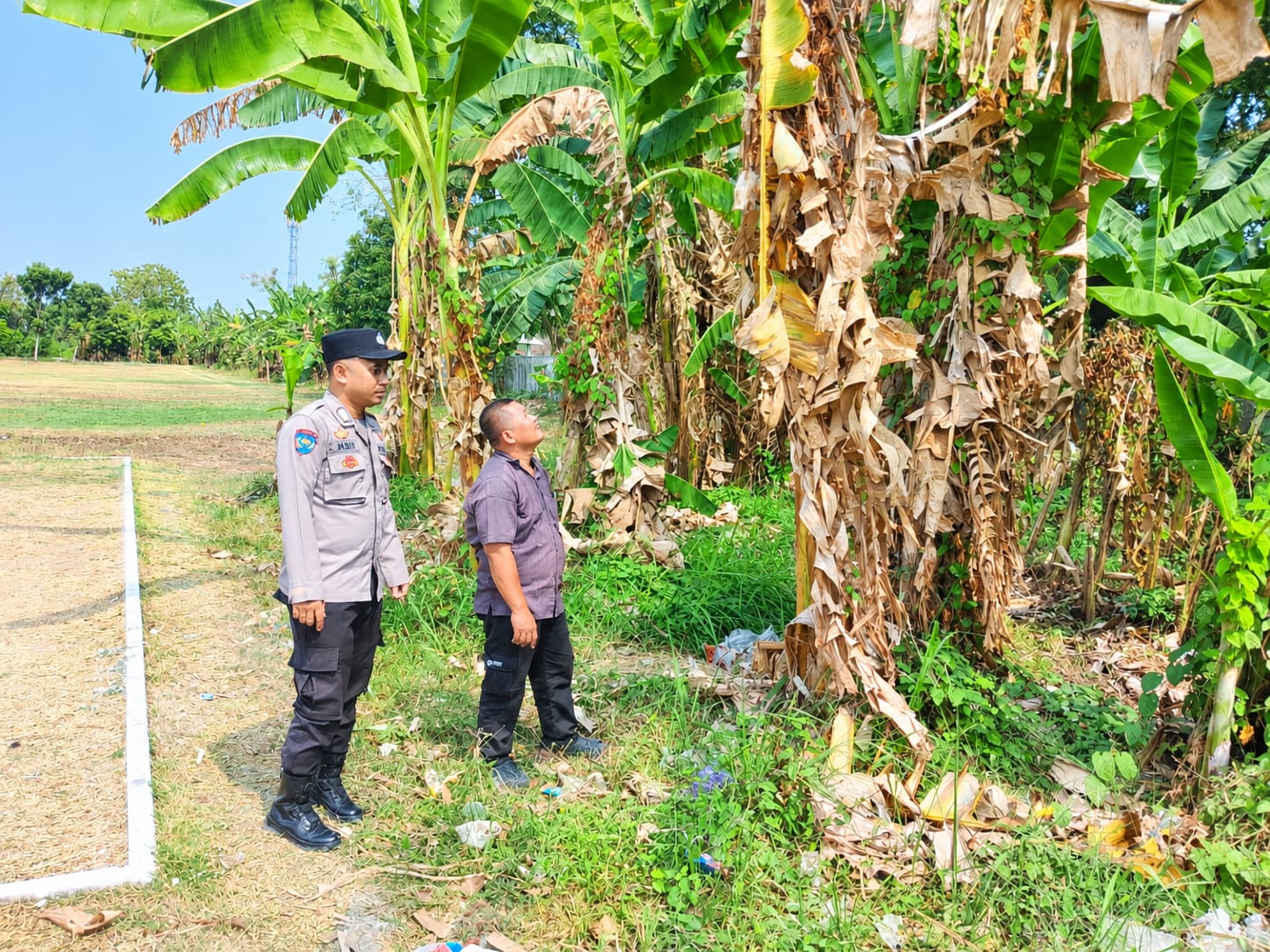 Polsek Slawi Gencarkan Mitigasi Karhutla Di Lahan Perkebunan Trayeman